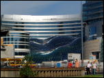 Click on one of the size names above to enlarge this image Click on one of the size names above to enlarge this image