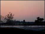 Click on one of the size names above to enlarge this image Click on one of the size names above to enlarge this image