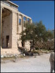 Click on one of the size names above to enlarge this image Click on one of the size names above to enlarge this image