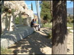 Click on one of the size names above to enlarge this image Click on one of the size names above to enlarge this image