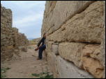 Click on one of the size names above to enlarge this image Click on one of the size names above to enlarge this image