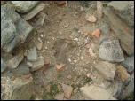 Click on one of the size names above to enlarge this image Click on one of the size names above to enlarge this image