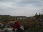 Click on one of the size names above to enlarge this image Click on one of the size names above to enlarge this image