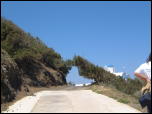 Click on one of the size names above to enlarge this image Click on one of the size names above to enlarge this image