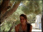 Click on one of the size names above to enlarge this image Click on one of the size names above to enlarge this image