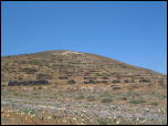 Click on one of the size names above to enlarge this image Click on one of the size names above to enlarge this image