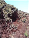 Click on one of the size names above to enlarge this image Click on one of the size names above to enlarge this image