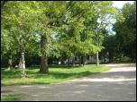 Click on one of the size names above to enlarge this image Click on one of the size names above to enlarge this image