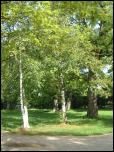 Click on one of the size names above to enlarge this image Click on one of the size names above to enlarge this image