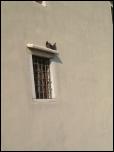 Click on one of the size names above to enlarge this image Click on one of the size names above to enlarge this image
