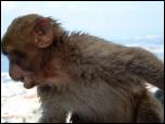 Click on one of the size names above to enlarge this image Click on one of the size names above to enlarge this image