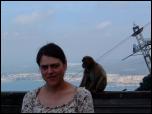 Click on one of the size names above to enlarge this image Click on one of the size names above to enlarge this image