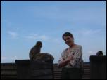 Click on one of the size names above to enlarge this image Click on one of the size names above to enlarge this image