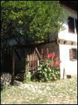 Click on one of the size names above to enlarge this image Click on one of the size names above to enlarge this image