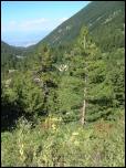 Click on one of the size names above to enlarge this image Click on one of the size names above to enlarge this image