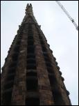 Click on one of the size names above to enlarge this image Click on one of the size names above to enlarge this image