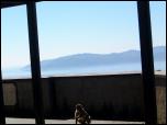 Click on one of the size names above to enlarge this image Click on one of the size names above to enlarge this image