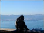Click on one of the size names above to enlarge this image Click on one of the size names above to enlarge this image