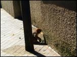 Click on one of the size names above to enlarge this image Click on one of the size names above to enlarge this image