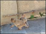Click on one of the size names above to enlarge this image Click on one of the size names above to enlarge this image