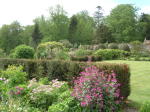 Click on one of the size names above to enlarge this image Click on one of the size names above to enlarge this image