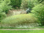 Click on one of the size names above to enlarge this image Click on one of the size names above to enlarge this image