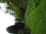 Click on one of the size names above to enlarge this image Click on one of the size names above to enlarge this image